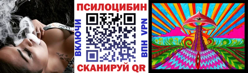 нарко площадка официальный сайт  Тетюши  Псилоцибиновые грибы Psilocybe 