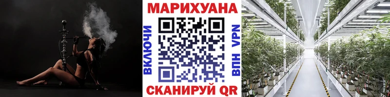 Шишки марихуана сатива где можно купить наркотик Тетюши